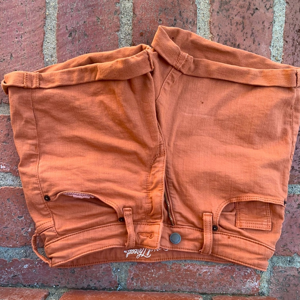 Burnt Orange High Waisted Shorts